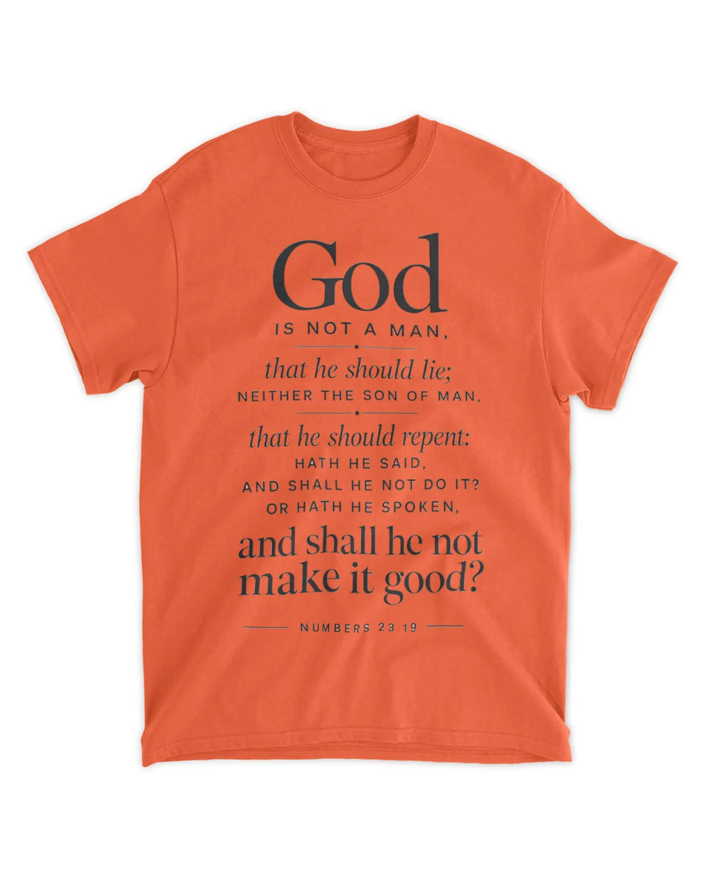 Numbers 23:19 T-Shirt Minimalist / Typography Tee v4
