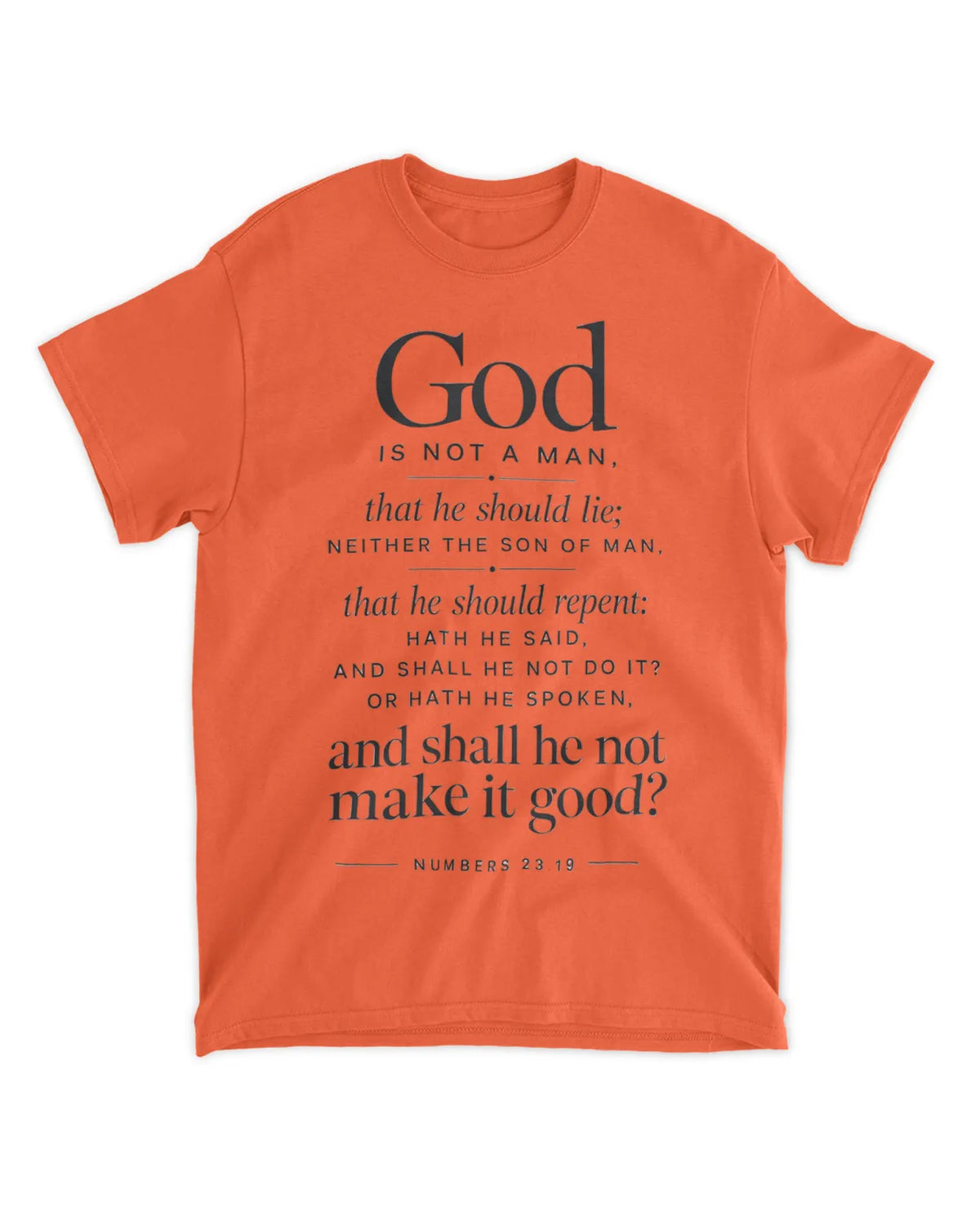 Numbers 23:19 T-Shirt Minimalist / Typography Tee v4