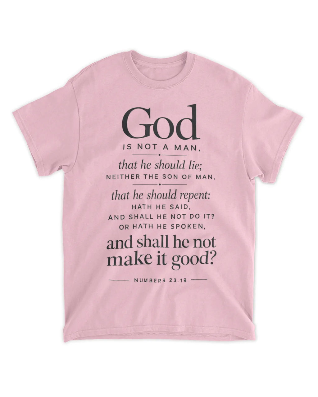 Numbers 23:19 T-Shirt Minimalist / Typography Tee v4