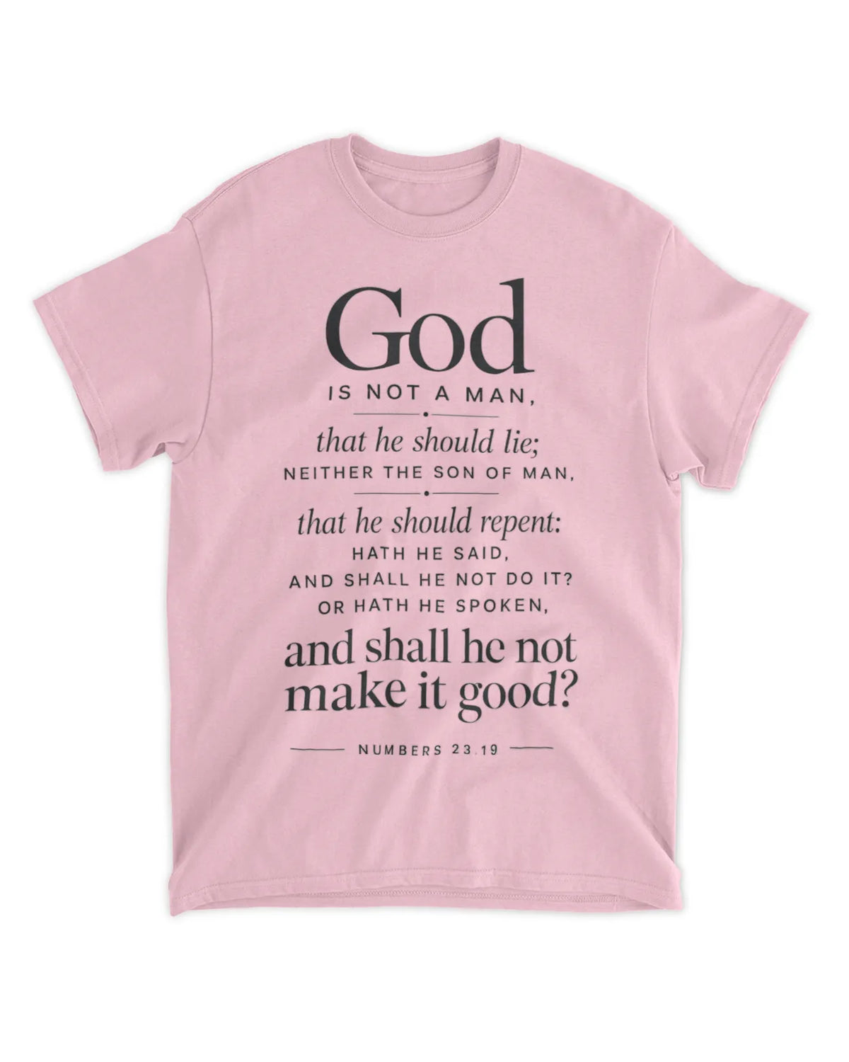Numbers 23:19 T-Shirt Minimalist / Typography Tee v4