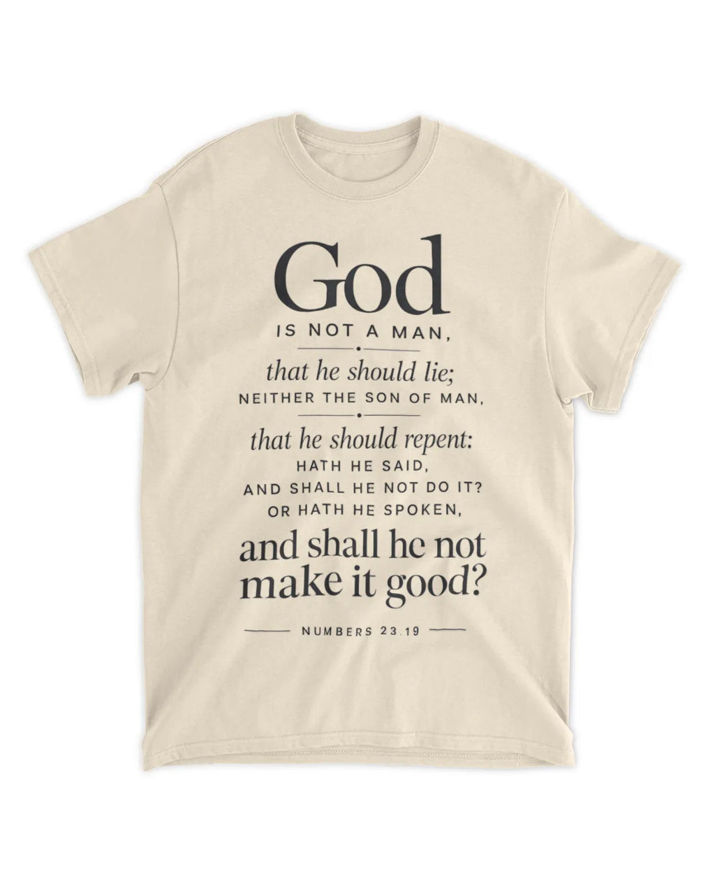 Numbers 23:19 T-Shirt Minimalist / Typography Tee v4