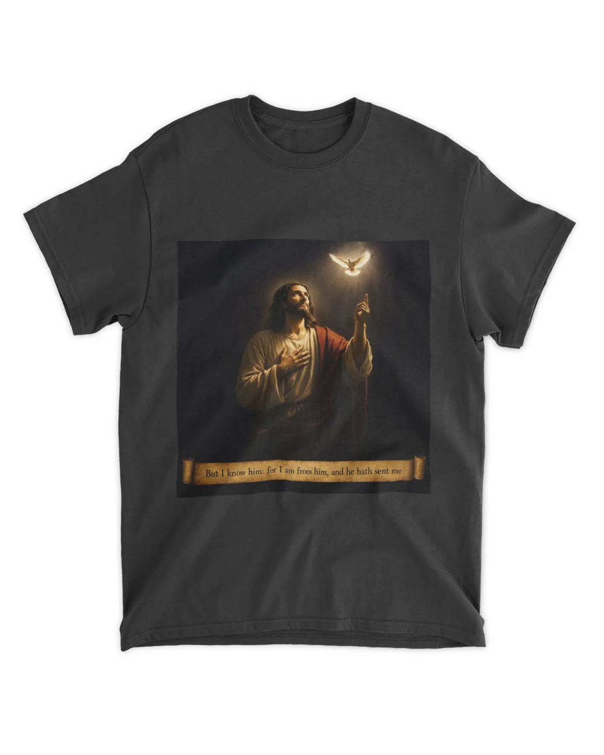 John 7:29 t-shirt