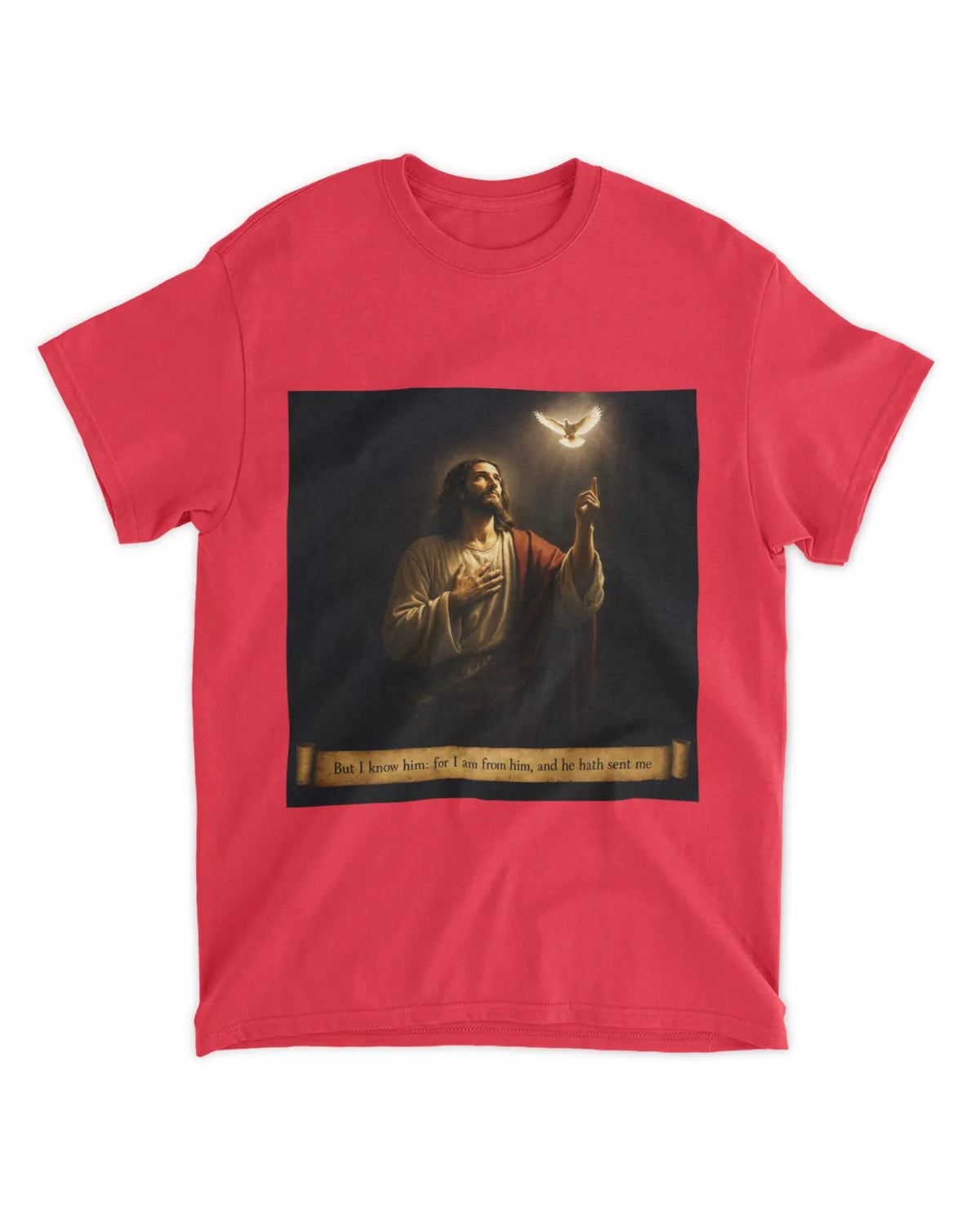 John 7:29 t-shirt