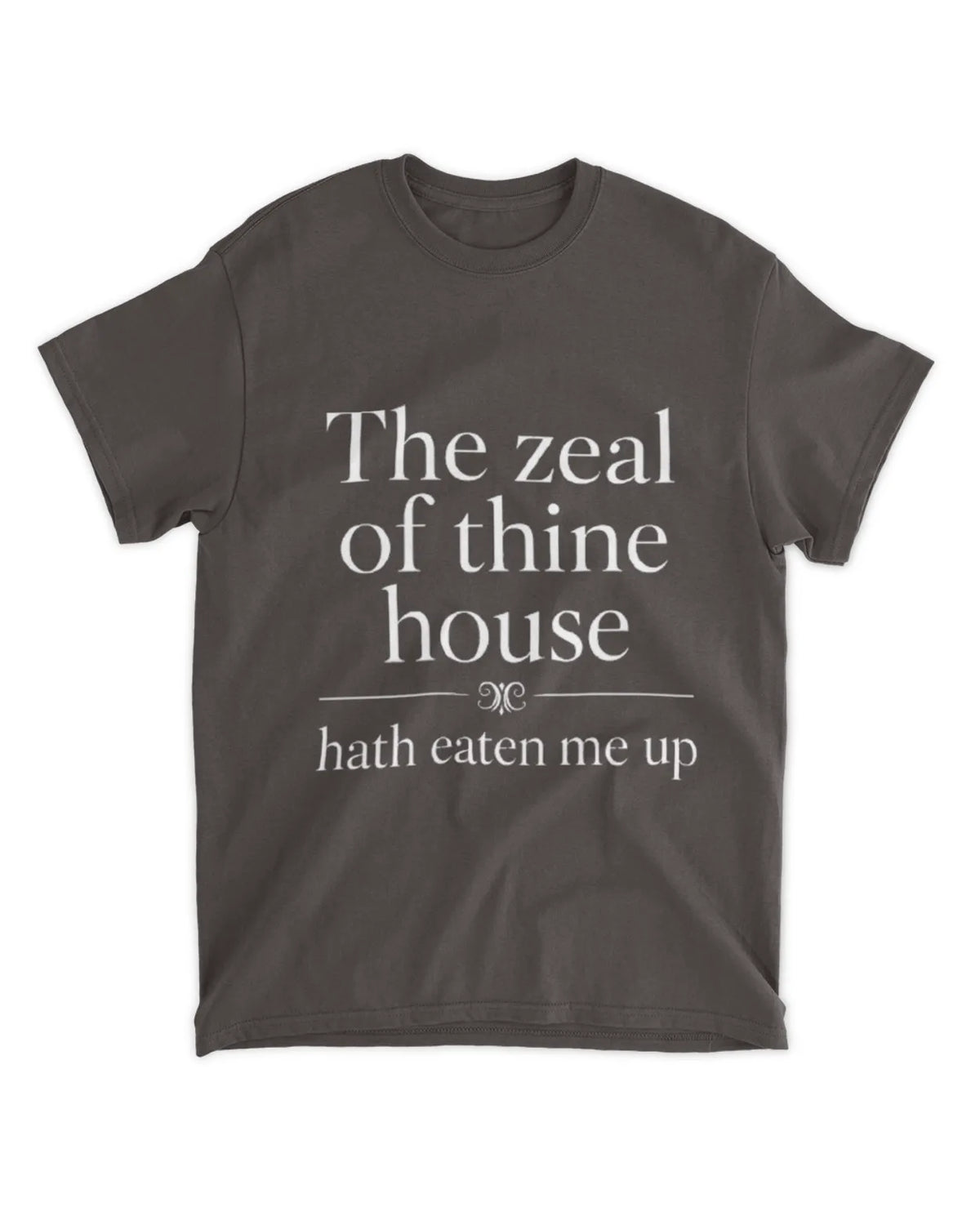John 2:17 t-shirt
