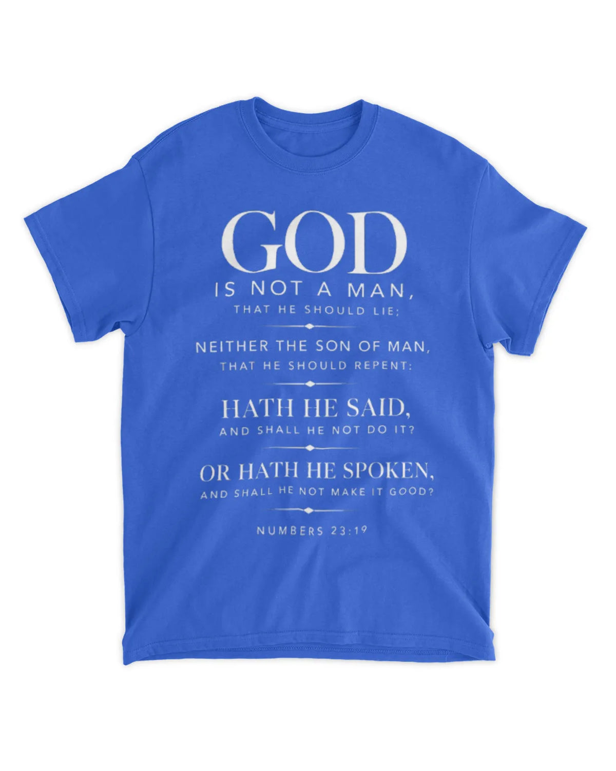 Numbers 23:19 T-Shirt Minimalist / Typography Tee