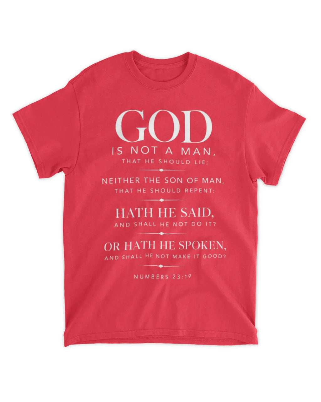Numbers 23:19 T-Shirt Minimalist / Typography Tee