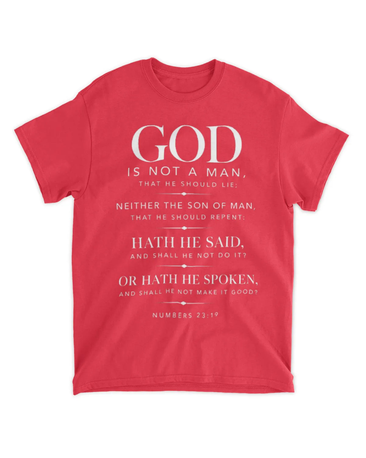 Numbers 23:19 T-Shirt Minimalist / Typography Tee