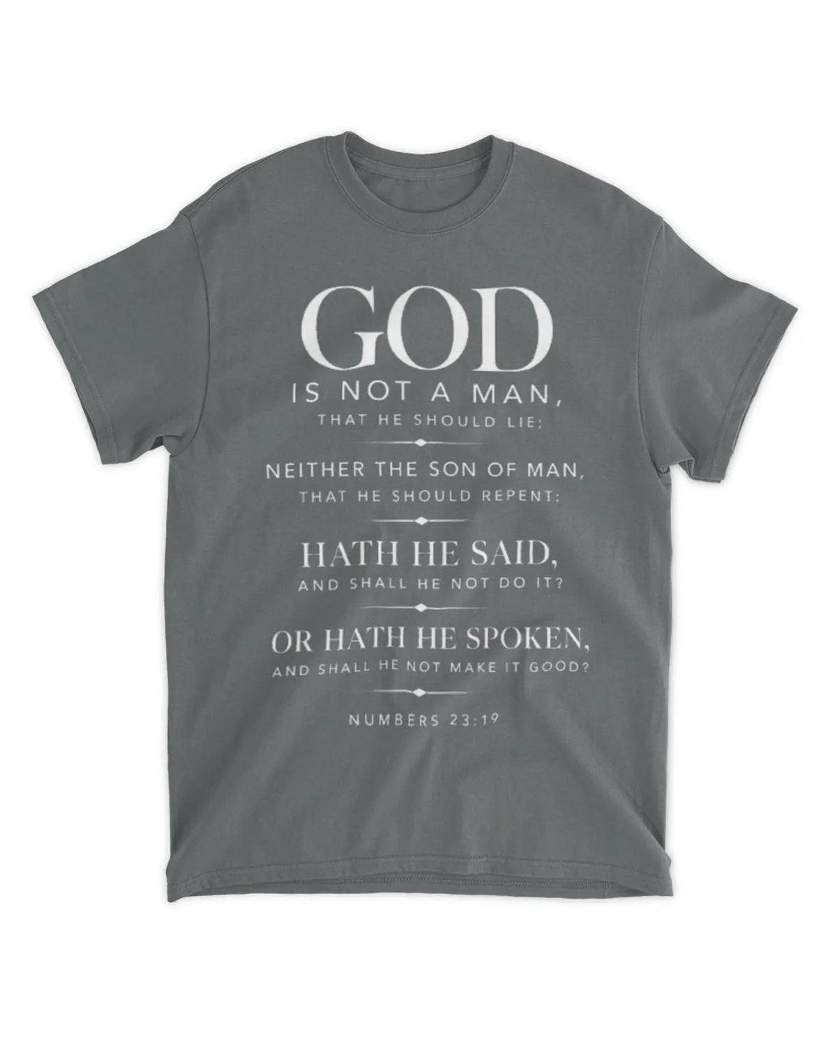 Numbers 23:19 T-Shirt Minimalist / Typography Tee
