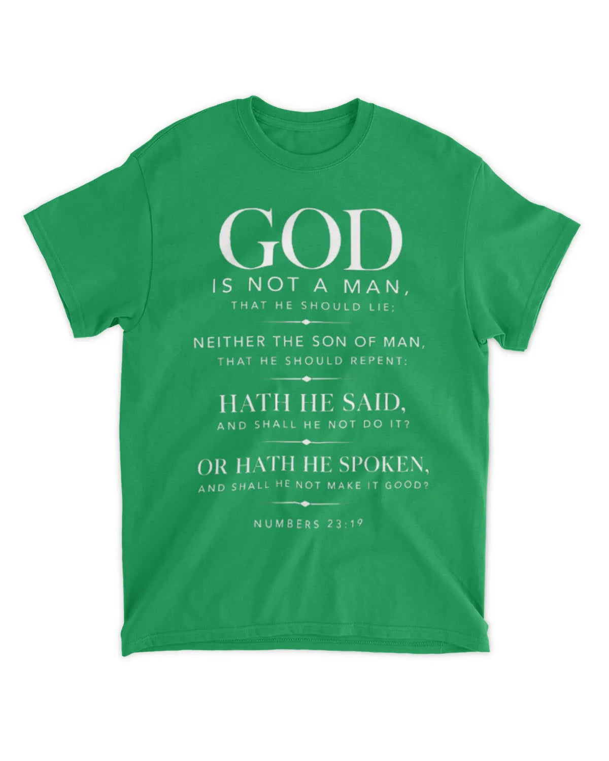 Numbers 23:19 T-Shirt Minimalist / Typography Tee