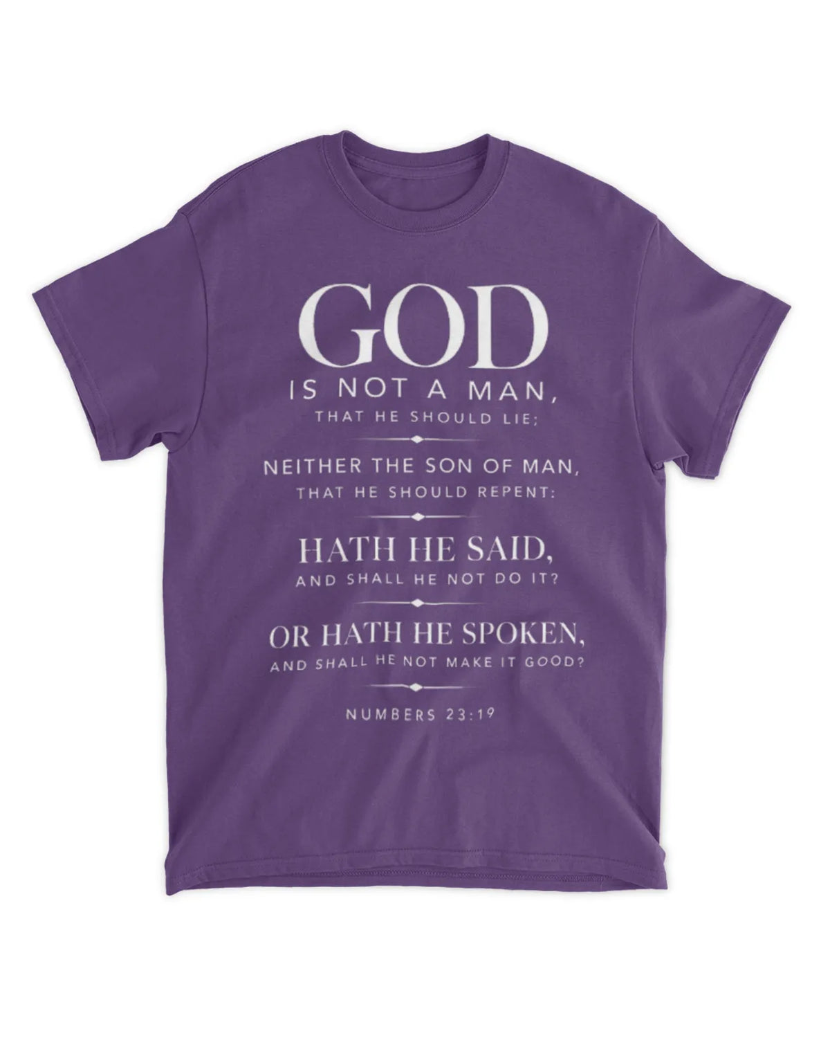 Numbers 23:19 T-Shirt Minimalist / Typography Tee
