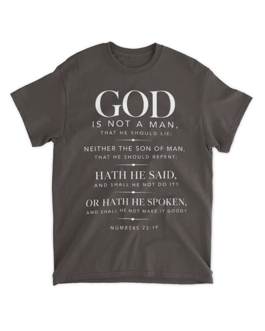 Numbers 23:19 T-Shirt Minimalist / Typography Tee