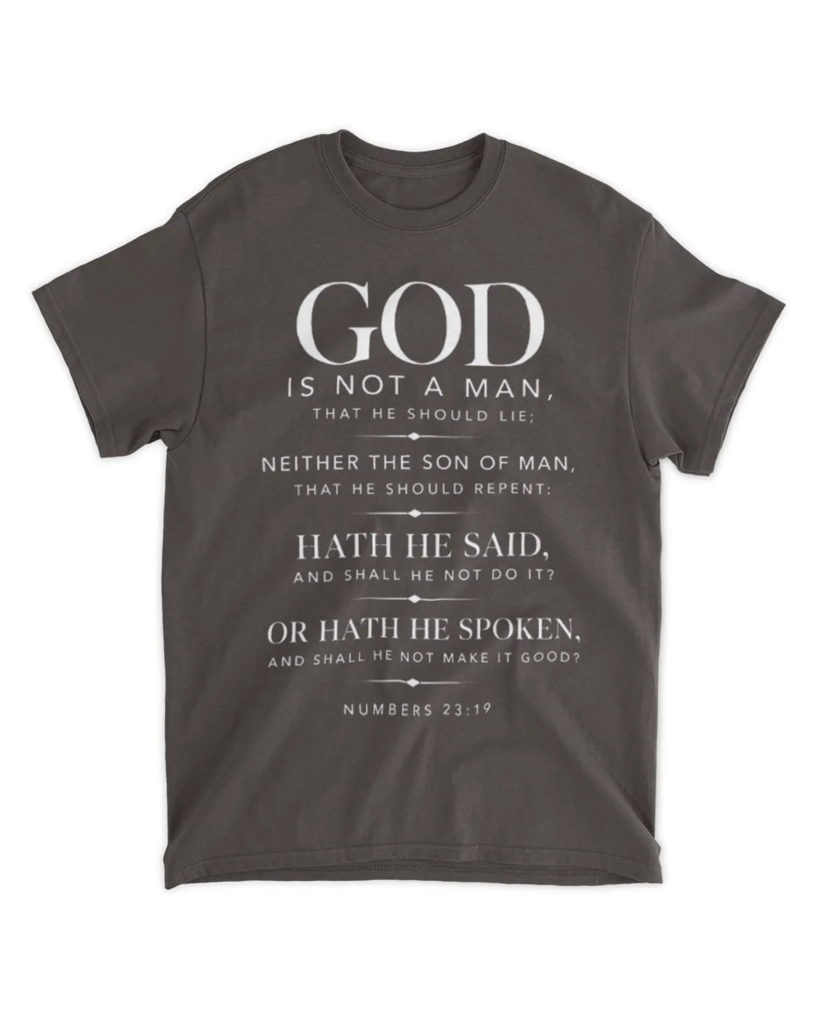 Numbers 23:19 T-Shirt Minimalist / Typography Tee