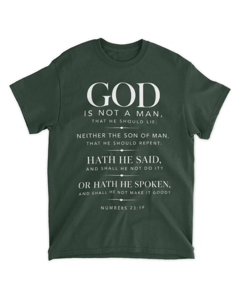 Numbers 23:19 T-Shirt Minimalist / Typography Tee