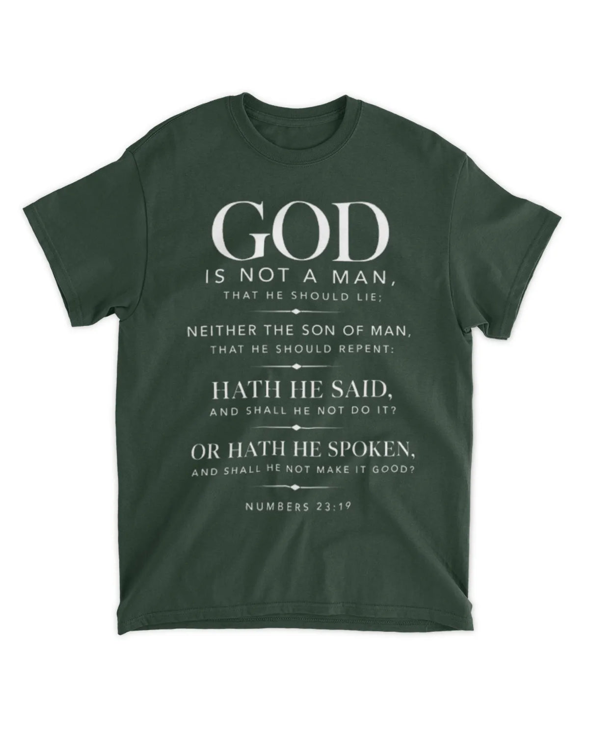 Numbers 23:19 T-Shirt Minimalist / Typography Tee
