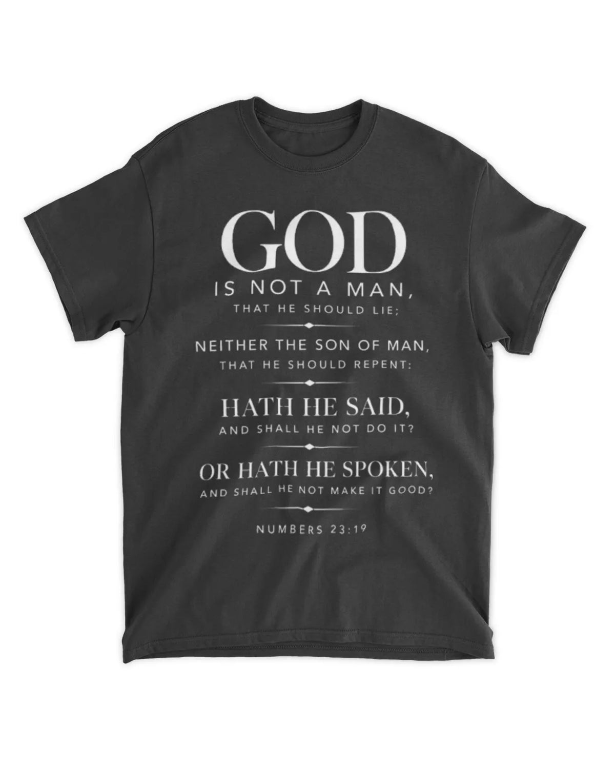 Numbers 23:19 T-Shirt Minimalist / Typography Tee